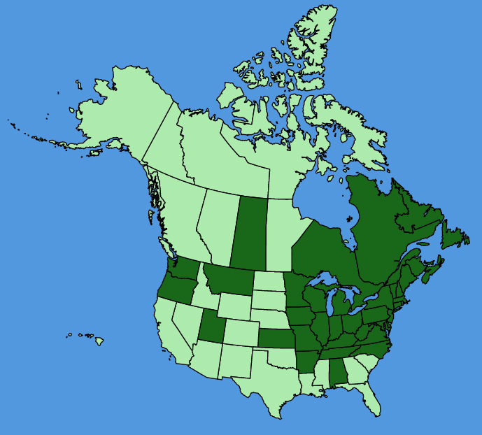 map-usc-Convallaria-majalis.JPG