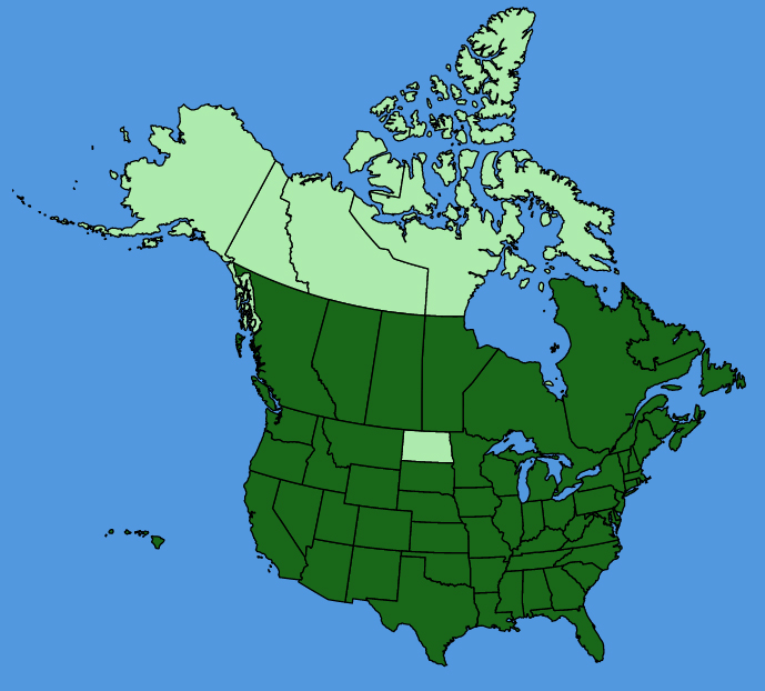 map-usc-Coronilla-varia.JPG