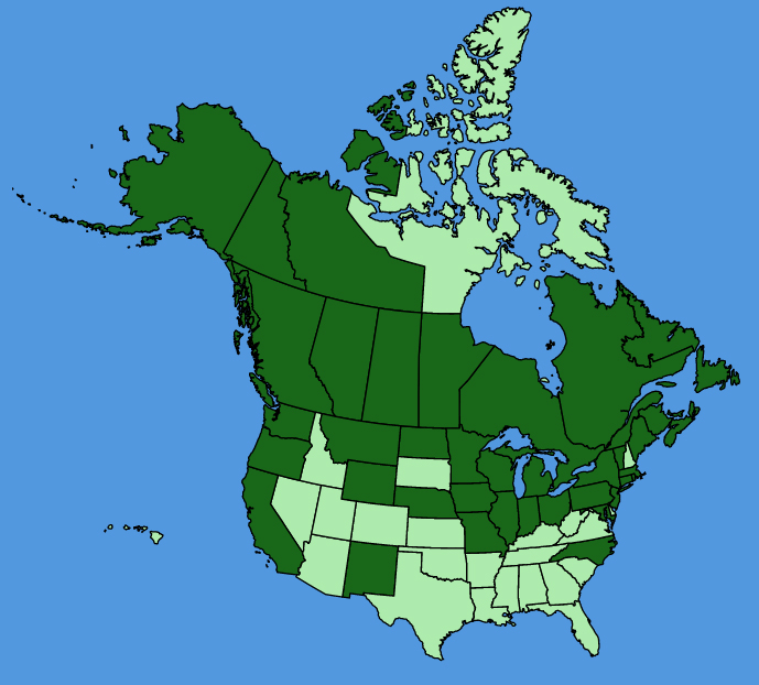 map-usc-Crepis-tectorum.JPG