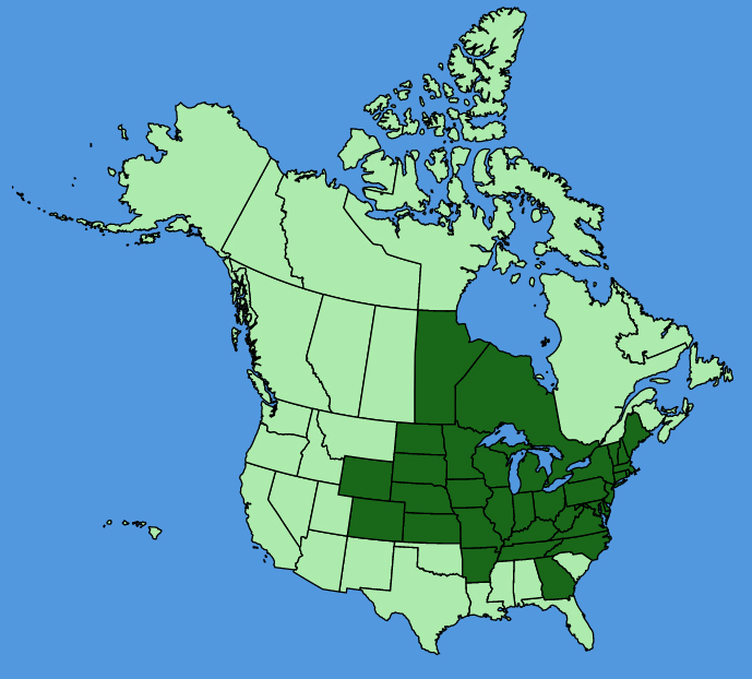 map-usc-Crocanthemum-bicknellii.JPG