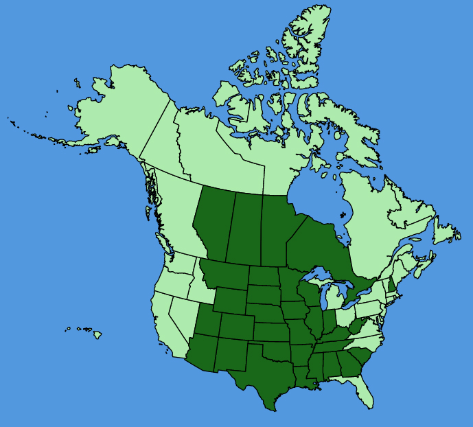 map-usc-Dalea-candida.JPG