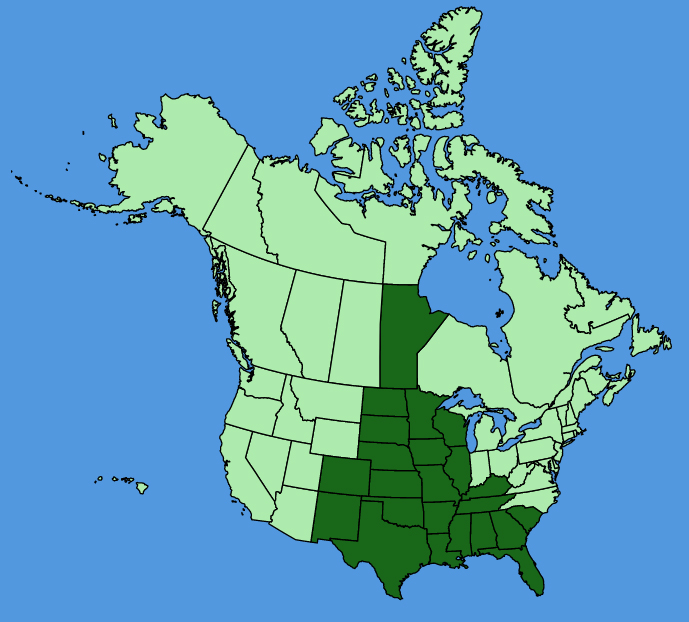 map-usc-Delphinium-carolinianum.JPG