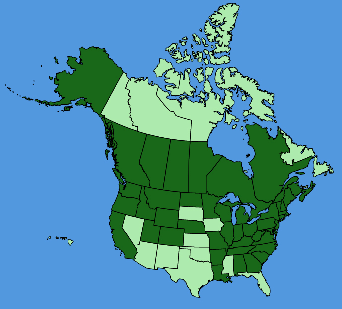 map-usc-Dianthus-barbatus.JPG