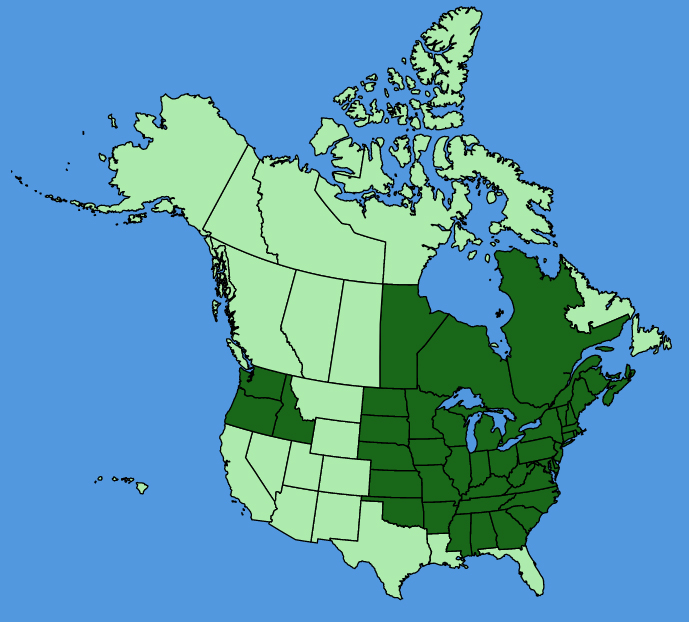 map-usc-Dicentra-cucullaria.JPG