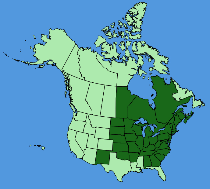 map-usc-Elymus-hystrix.JPG