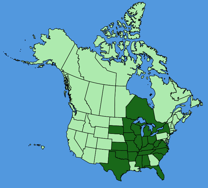 map-usc-Enemion-biternatum.JPG