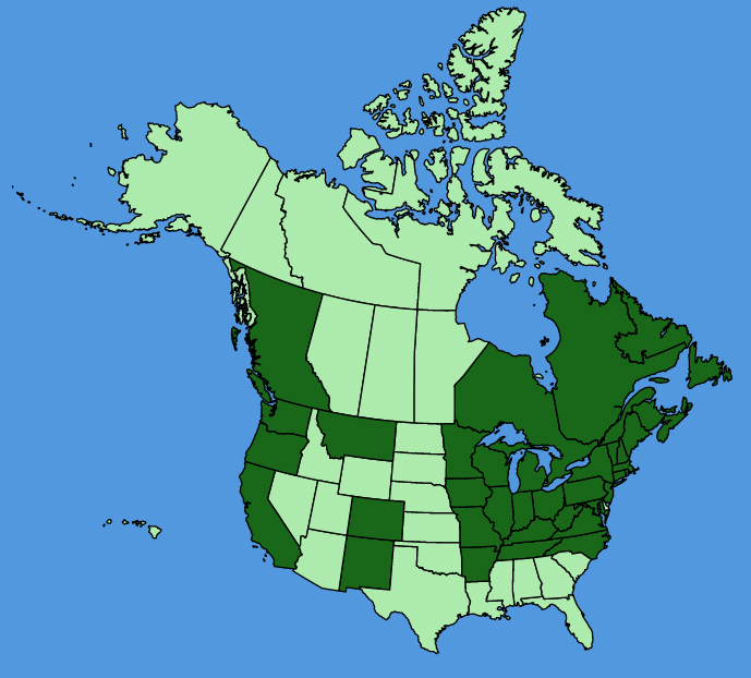 map-usc-Epipactis-helleborine.JPG