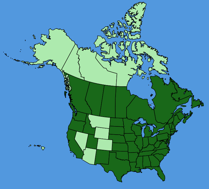 map-usc-Erigeron-annuus.JPG