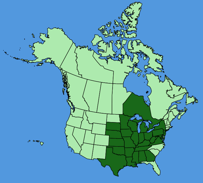 map-usc-Erythronium-albidum.JPG