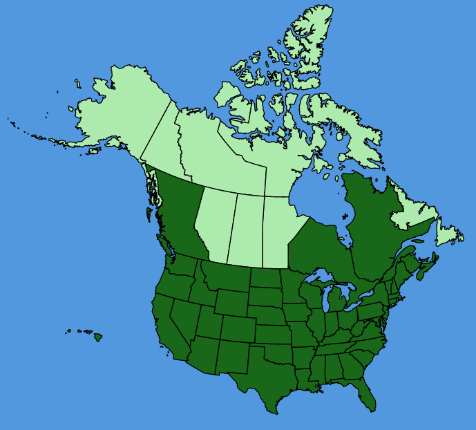map-usc-Euphorbia-maculata.JPG