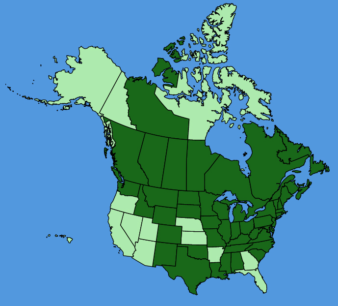 map-usc-Euthamia-graminifolia.JPG