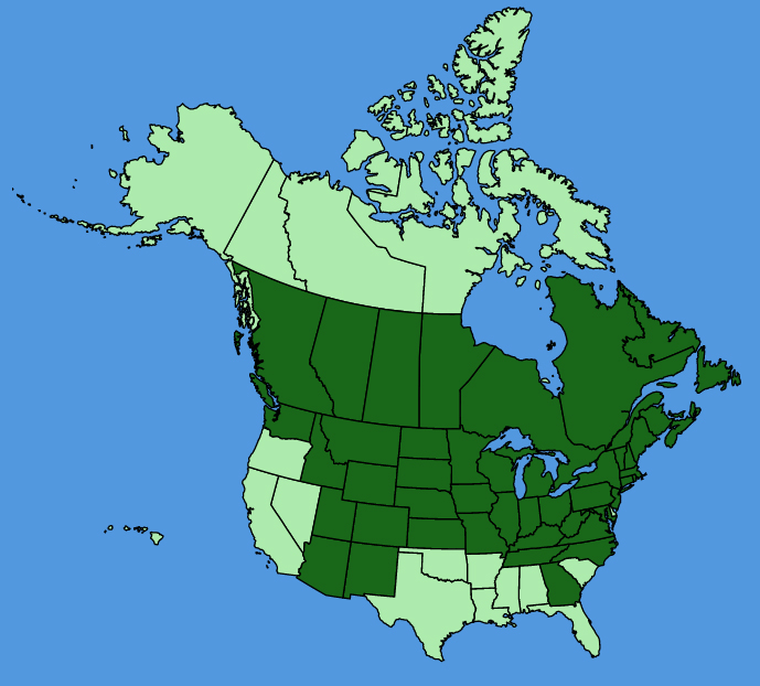 map-usc-Eutrochium-maculatum.JPG