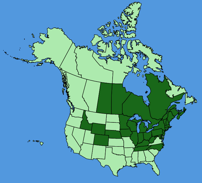 map-usc-Frangula-alnus.JPG