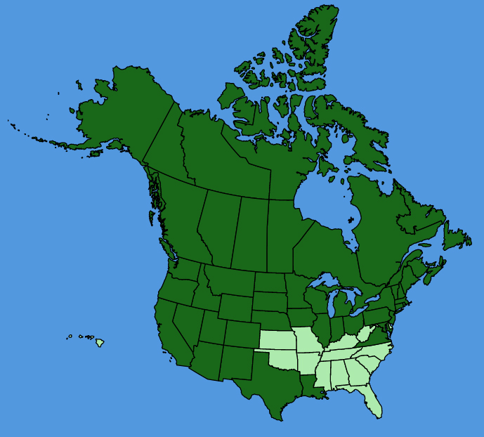 map-usc-Galium-trifidum.JPG