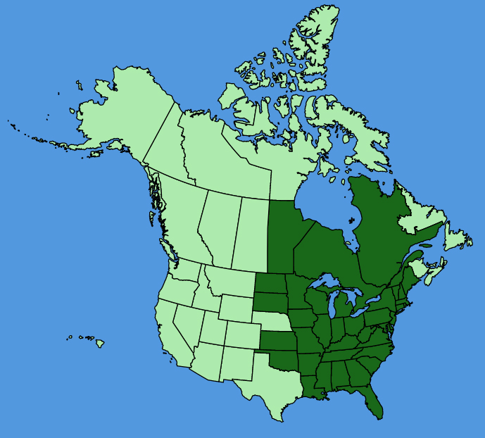 map-usc-Geranium-maculatum.JPG