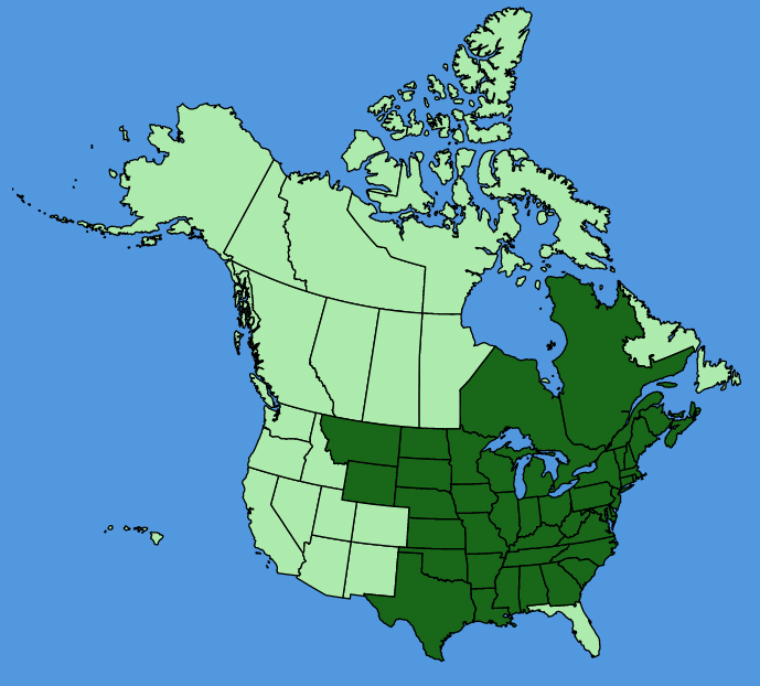 map-usc-Geum-canadense.JPG
