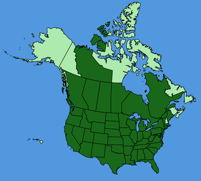 map-usc-Helenium-autumnale.JPG