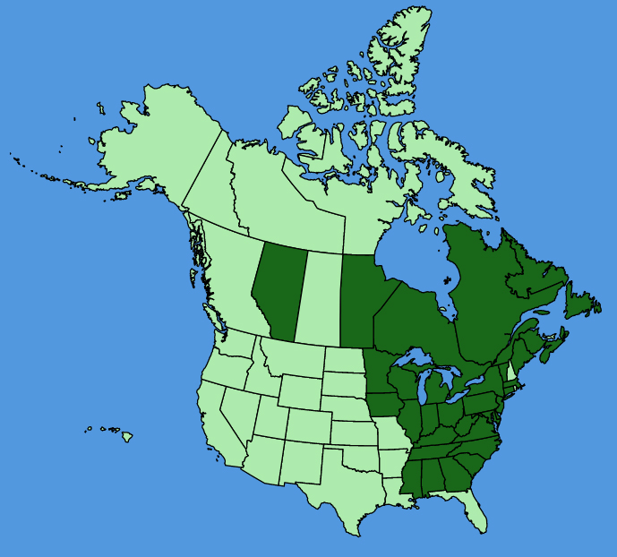 map-usc-Helianthus-giganteus.JPG
