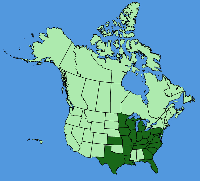 map-usc-Helianthus-occidentalis.JPG