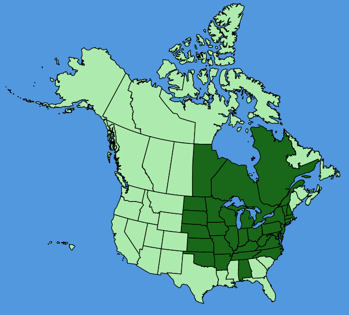 map-usc-Hydrophyllum-virginianum.JPG
