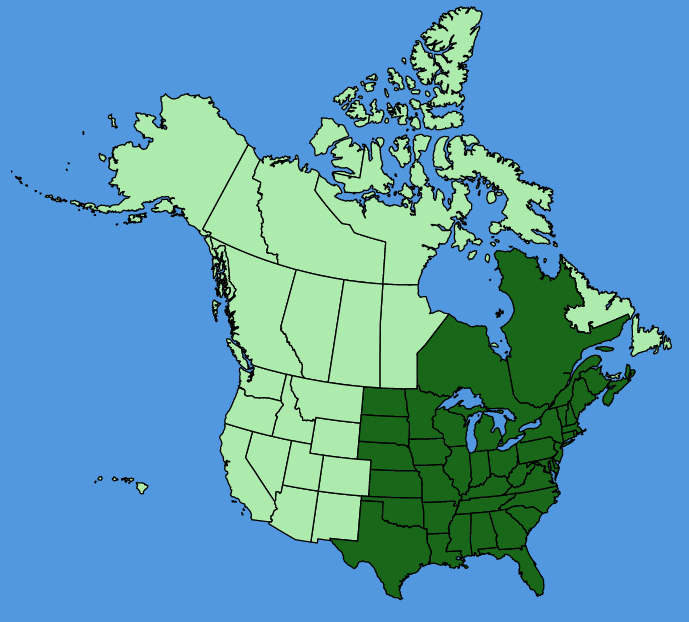 map-usc-Hylodesmum-glutinosum.JPG