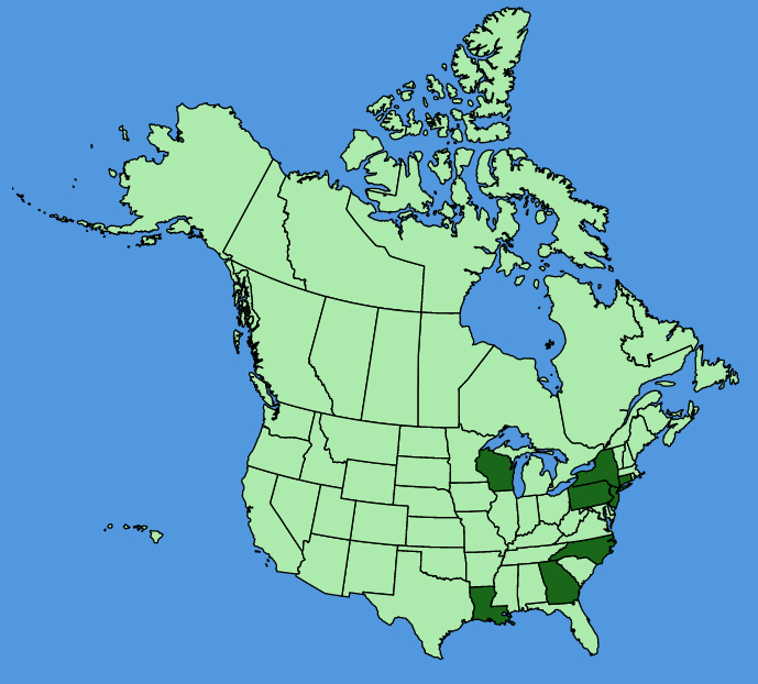 map-usc-Hylotelephium-spectabile.JPG