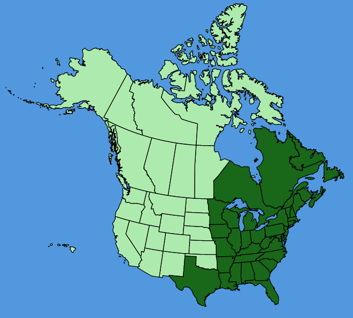 map-usc-Ilex-verticillata.JPG