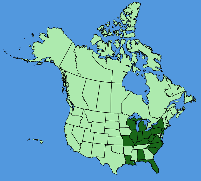 map-usc-Impatiens-balsamina.JPG