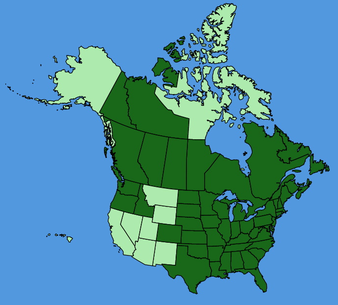 map-usc-Impatiens-capensis.JPG