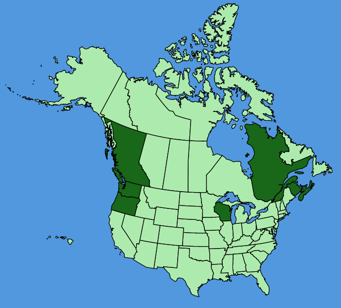 map-usc-Impatiens-parviflora.JPG