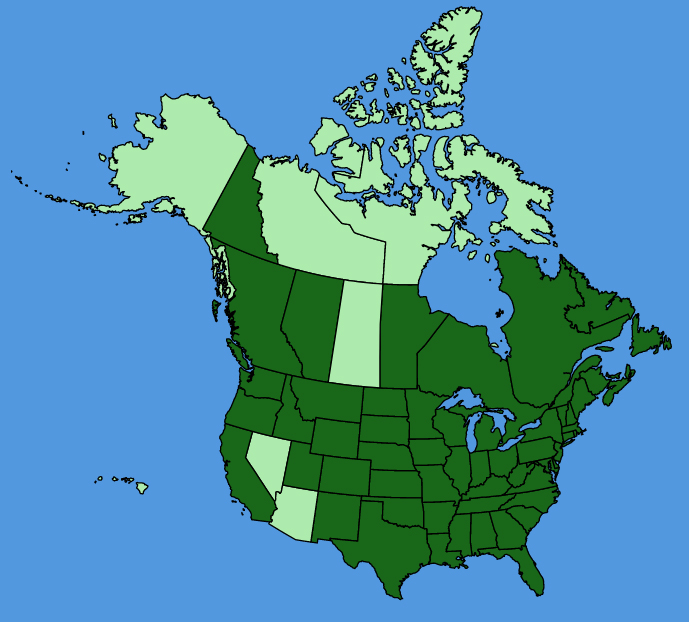 map-usc-Lactuca-canadensis.JPG