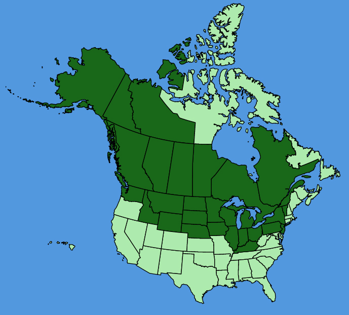 map-usc-Lathyrus-ochroleucus.JPG