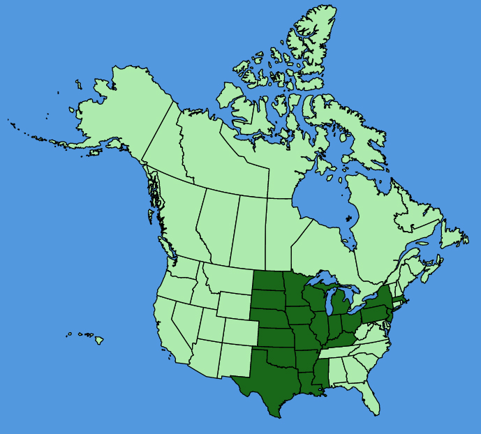 map-usc-Liatris-pycnostachya.JPG