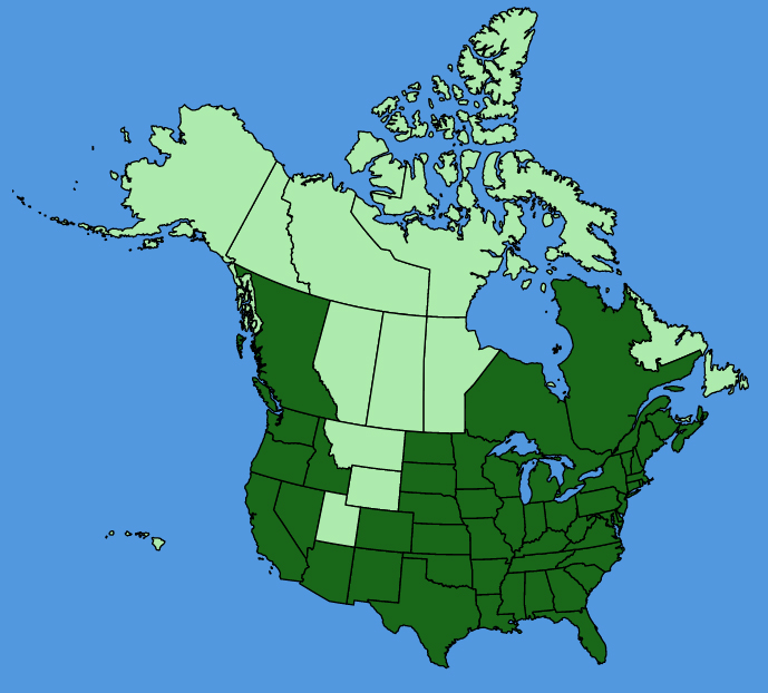 map-usc-Lindernia-dubia.JPG