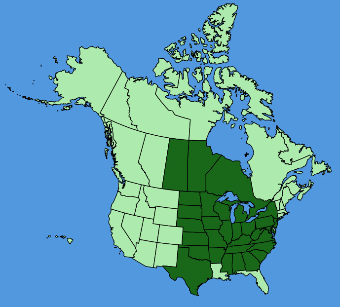 map-usc-Lithospermum-canescens.JPG