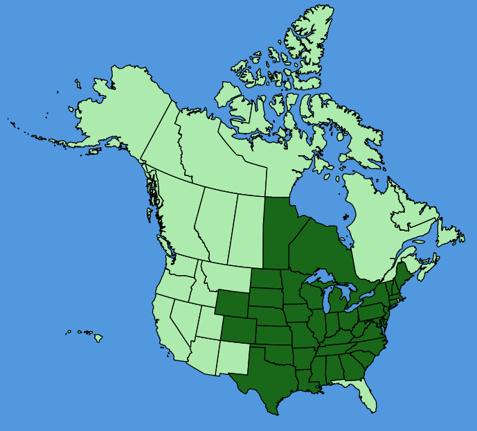 map-usc-Lobelia-siphilitica.JPG
