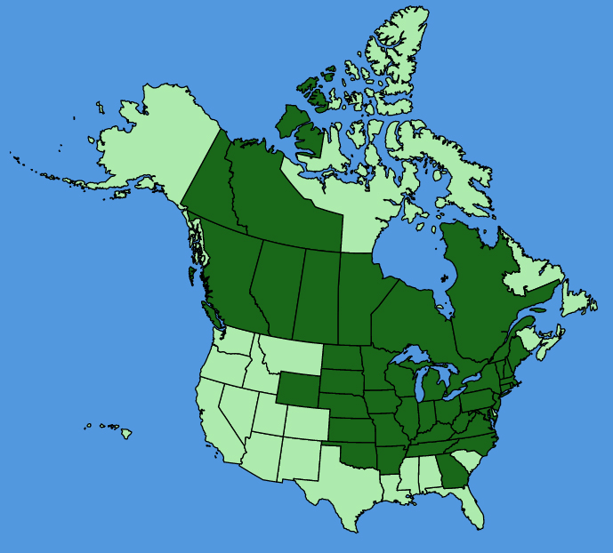 map-usc-Lonicera-dioica.JPG