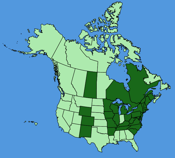map-usc-Lonicera-morrowii.JPG