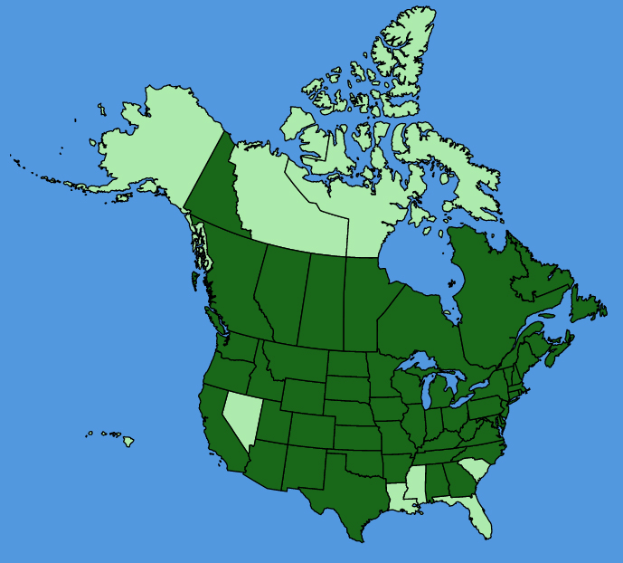 map-usc-Lotus-corniculatus.JPG