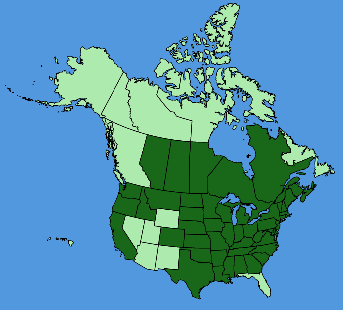 map-usc-Mimulus-ringens.JPG