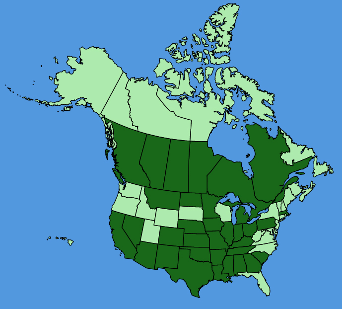 map-usc-Mirabilis-albida.JPG