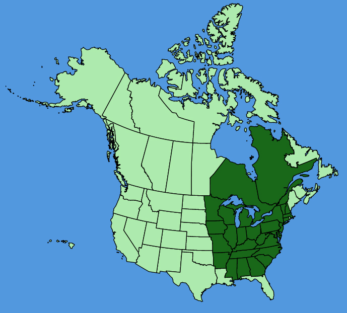 map-usc-Mitella-diphylla.JPG