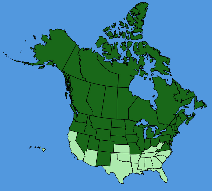 map-usc-Moehringia-lateriflora.JPG