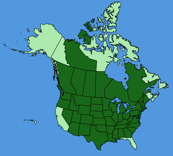 map-usc-Monarda-fistulosa.JPG
