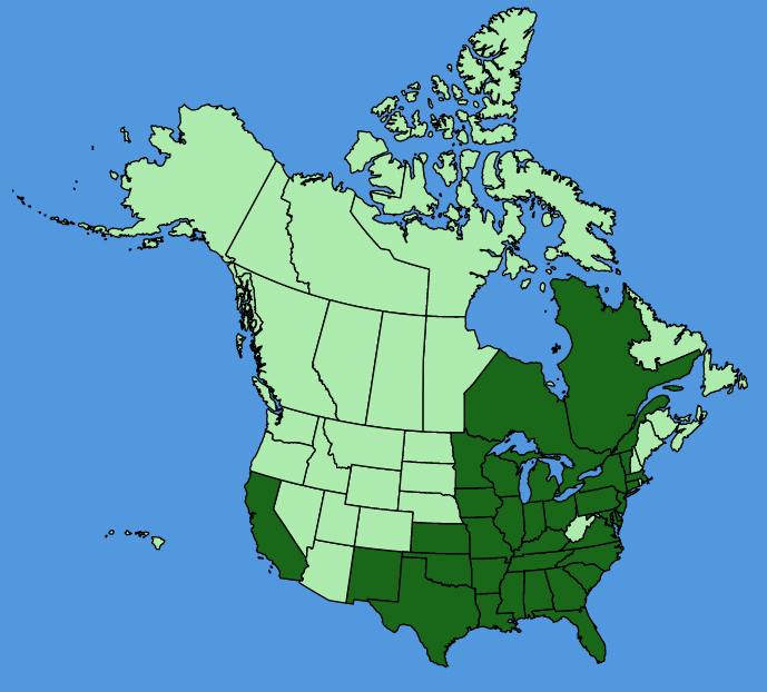 map-usc-Monarda-punctata.JPG