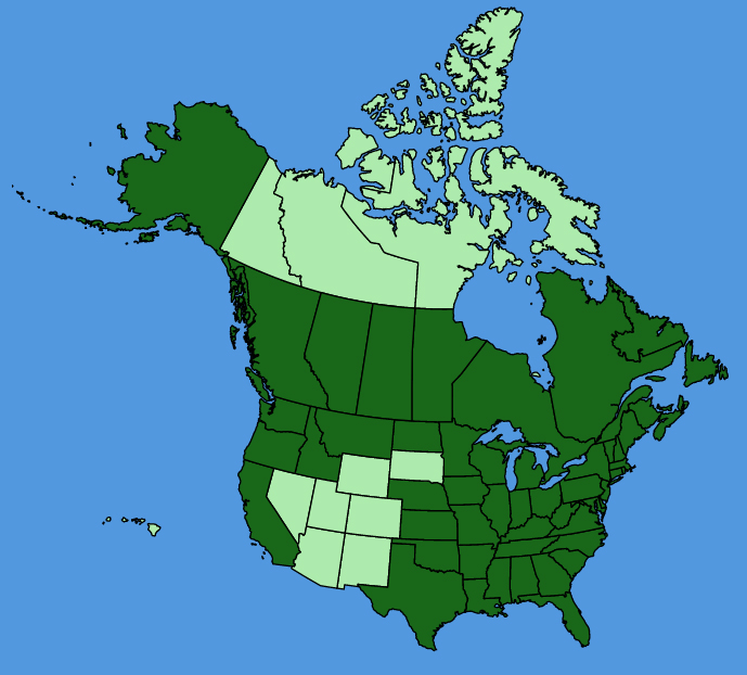 map-usc-Monotropa-uniflora.JPG