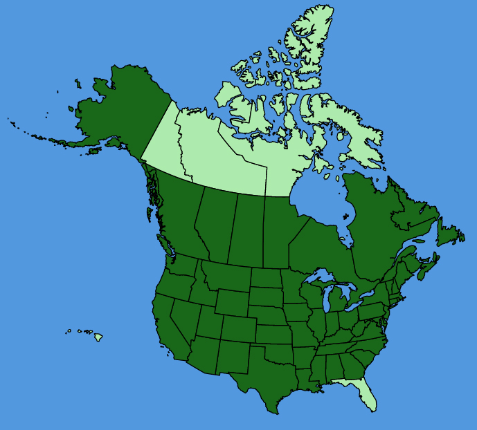 map-usc-Nepeta-cataria.JPG