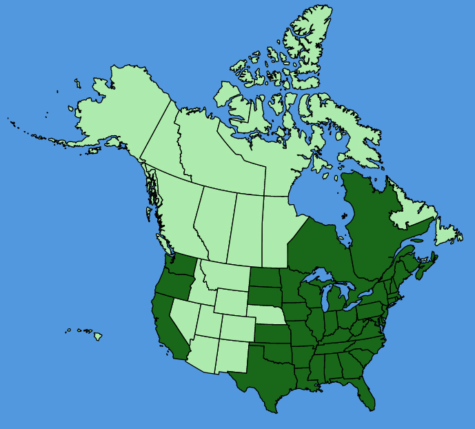 map-usc-Nuttallanthus-canadensis.JPG