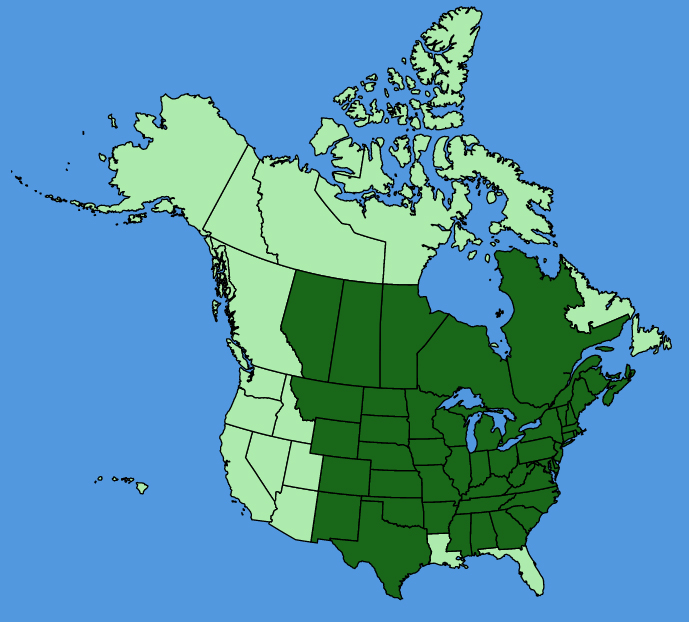 map-usc-Osmorhiza-longistylis.JPG