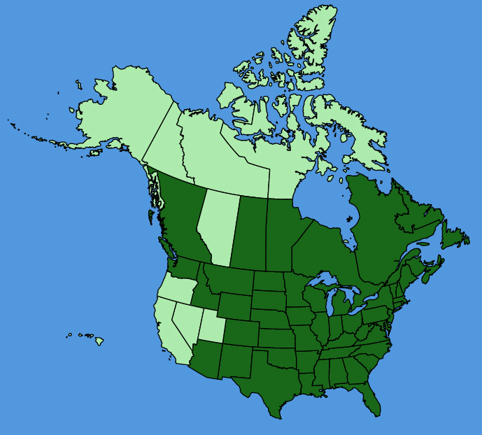 map-usc-Oxalis-stricta.JPG